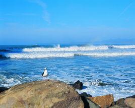 海洋文化[民族文化]