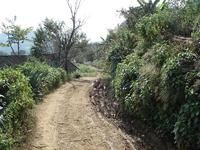 小石山自然村 小石山自然村