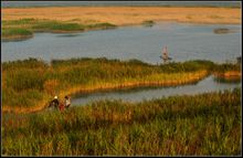 漩門灣濕地公園