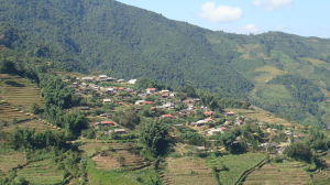 九隊自然村 九隊自然村