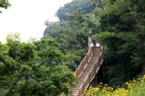 雲台山國家森林公園