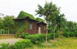 金星農莊 金星農莊