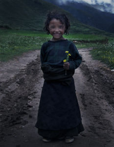 劉永波作品《格桑花》，曾參加美國洛杉磯交流展；曾參加中國平遙攝影交流展；曾參加馬來西亞檳城環保藝術節展覽，並多次被企業家、銀行家及藝術界人士收藏。