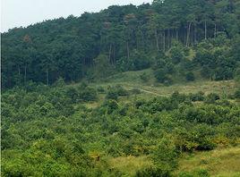 六合方山十景 六合方山十景