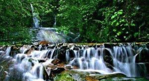 灕江古東 灕江古東