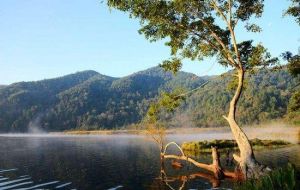 勐梭龍潭景區 勐梭龍潭景區