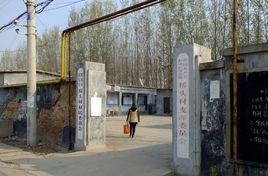 橋頭村[山東省泰安肥城市湖屯鎮橋頭村]