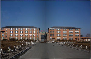 馬三家女子勞教所 馬三家女子勞教所