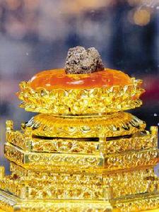 佛頂真骨 佛頂真骨