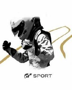 gt sport gt sport