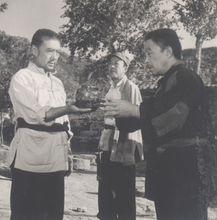 中國電影《平鷹墳》精彩劇照