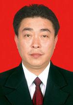 陳航[重慶市彭水縣原縣委書記]