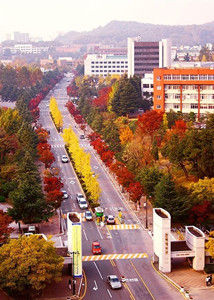 全北大學位置圖
