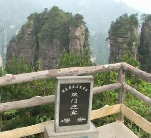 雙門迎賓 雙門迎賓