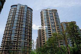 新湖明珠城 新湖明珠城