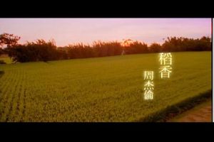 《稻香》