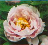 藍海碧波 藍海碧波