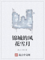 錦城的風花雪月 錦城的風花雪月