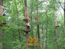 冒險家樹上探險B