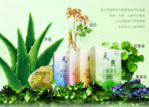 苗王草/天然祛斑面膜