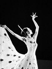 楊麗萍早期照片