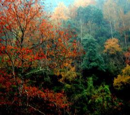 高望界鄉 高望界鄉