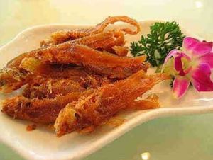 甌江鳳尾魚 甌江鳳尾魚