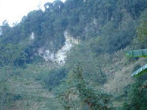 大馬蘇自然村-生態林