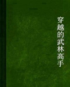 穿越的武林高手 穿越的武林高手
