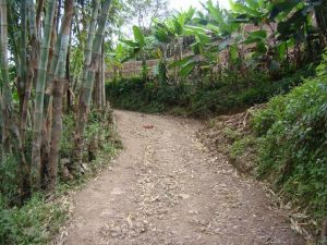 羊乃箐自然村 羊乃箐自然村