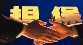 政府貸款擔保 政府貸款擔保