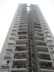 紫光學苑 紫光學苑