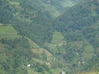 烏土塘自然村 烏土塘自然村