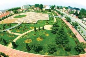 泊里河東村 泊里河東村