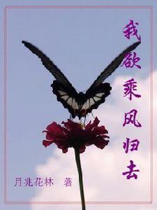 我欲乘風歸去 我欲乘風歸去