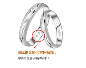 鉑金（白金）pt