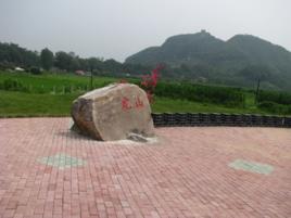 紅石村[重慶市奉節縣公平鎮紅石村]