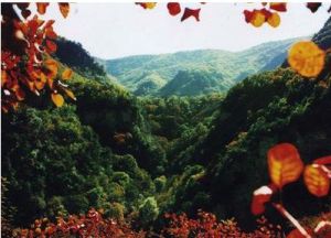 五鹿山國家自然保護區 五鹿山國家自然保護區