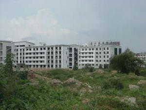 頤中千千樹 頤中千千樹