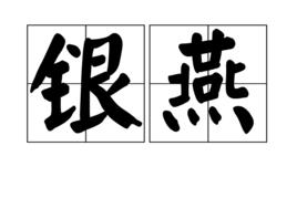 銀燕[漢語詞語]