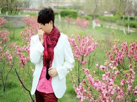 情不知所起啊 情不知所起啊