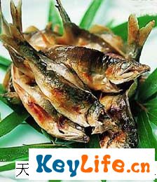 （圖）火夾槽青魚