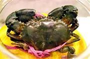 欽州青蟹 欽州青蟹