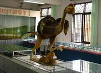 河源恐龍蛋化石展館 河源恐龍蛋化石展館