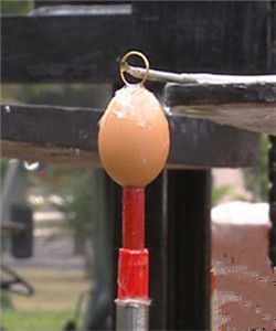 海星機械手 海星機械手