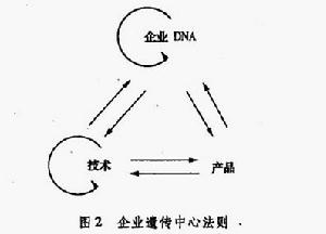 企業遺傳中心法則