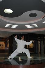 陳式太極拳——野馬分鬃