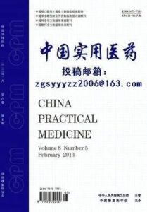中國實用醫藥 中國實用醫藥