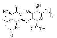 甲基巴豆醯輔酶