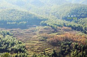 下村山村 下村山村